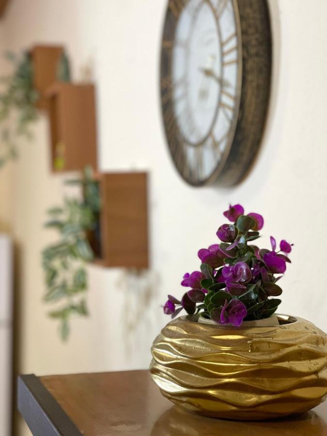 Shkodra Guest House & Trips 3* Shkodra