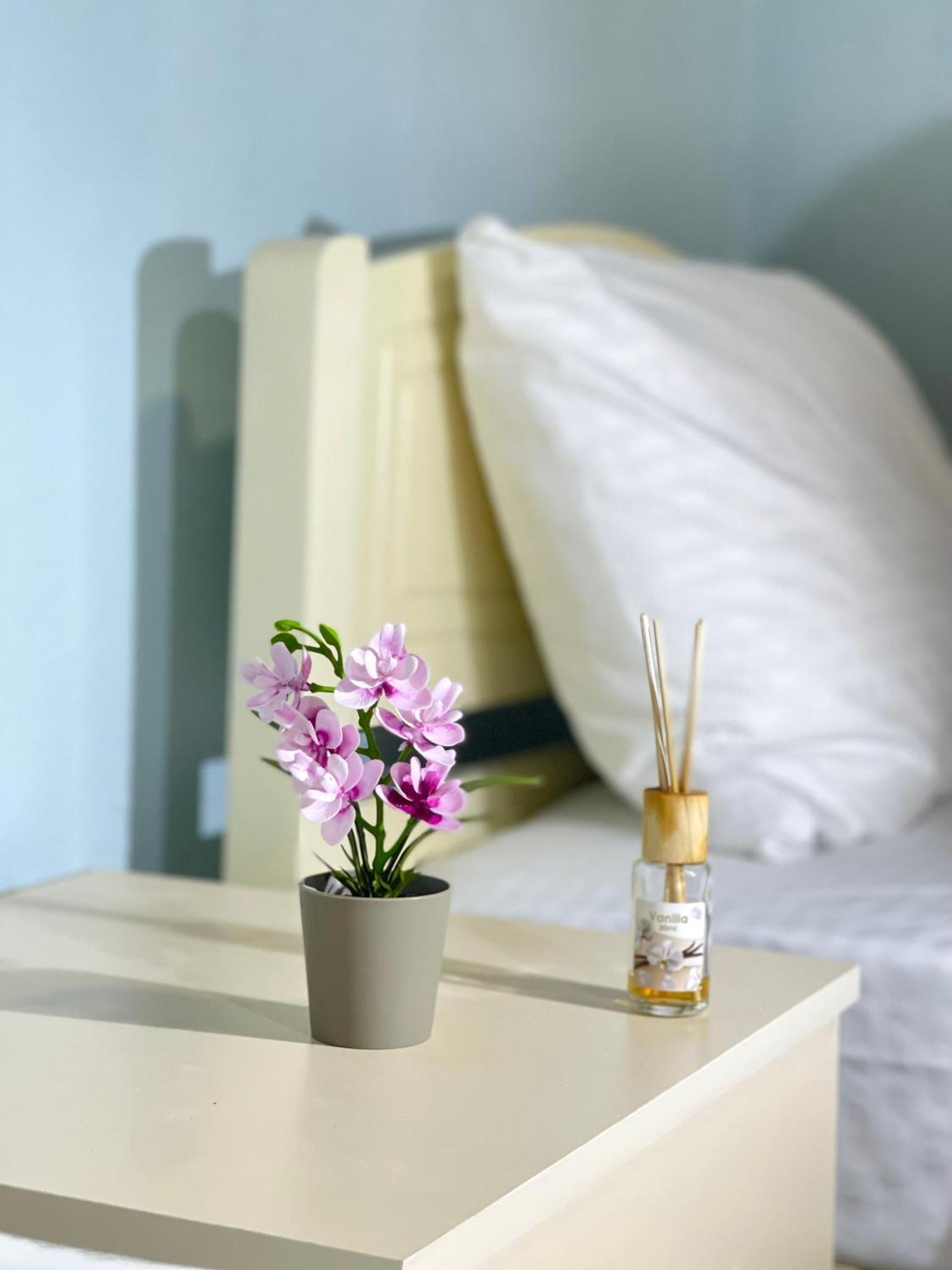 Gasthof Shkodra Guest House & Trips 3*