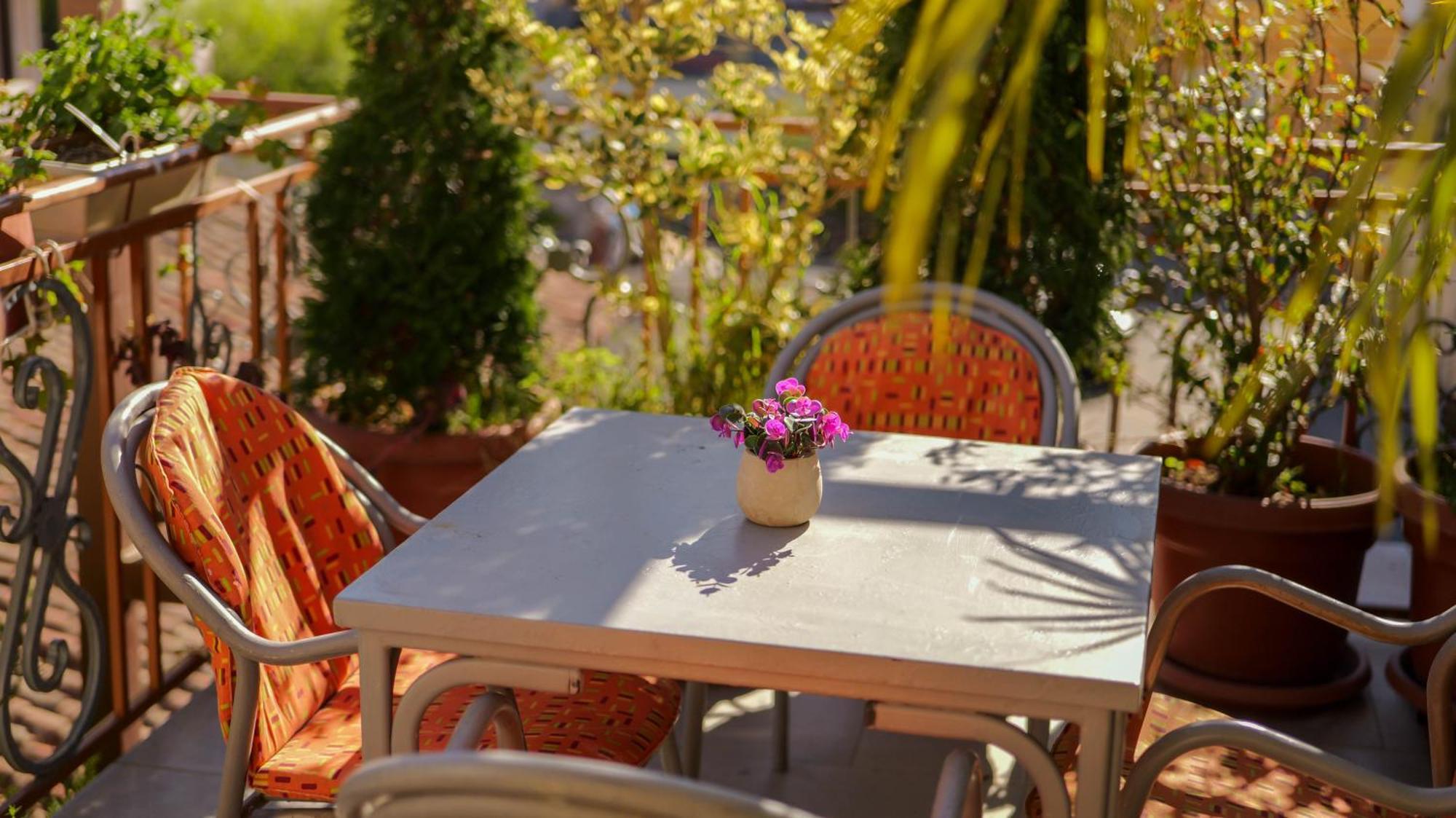 Gasthof Shkodra Guest House & Trips Shkodra