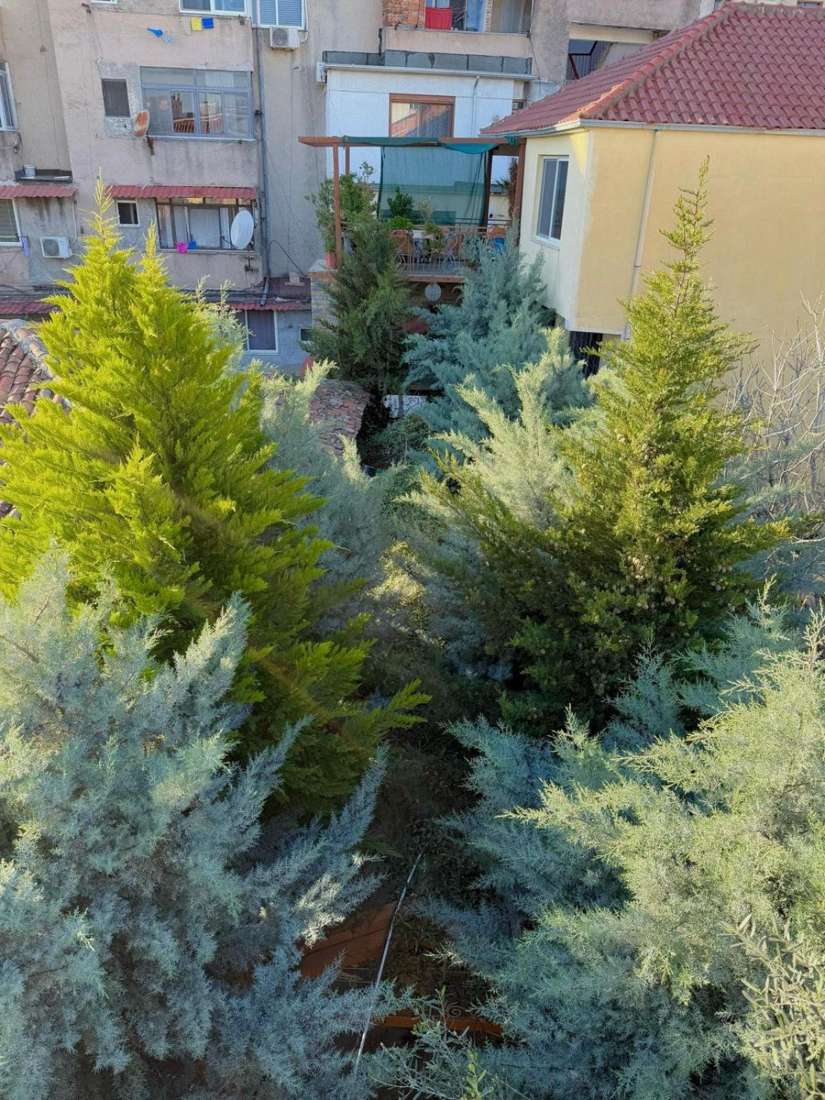 Shkodra Guest House & Trips