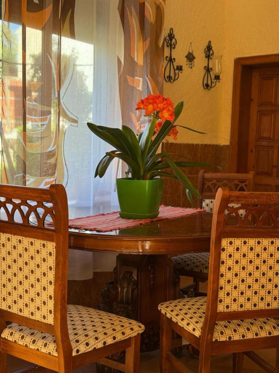 Shkodra Guest House & Trips Gasthof 3*